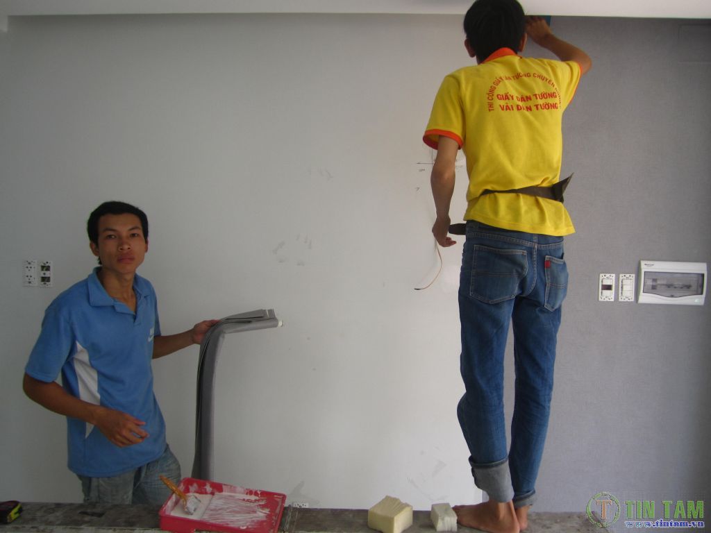 thi cong giay dan tuong tintam
