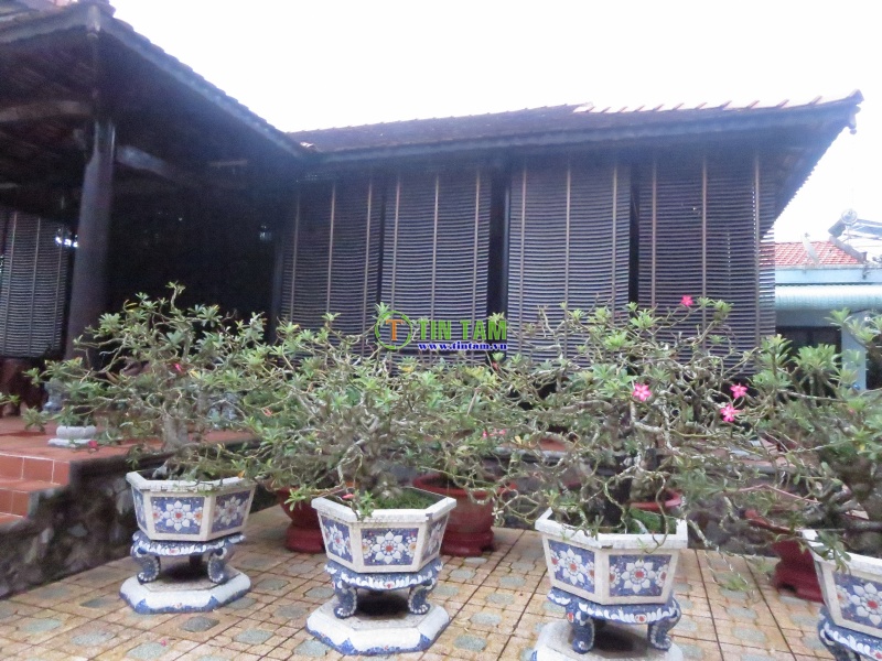 rèm sáo gỗ cổ điển sang trọng cho biệt thự